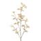 12 Pack: 41" Cream Seed Eucalyptus Stem by Ashland®